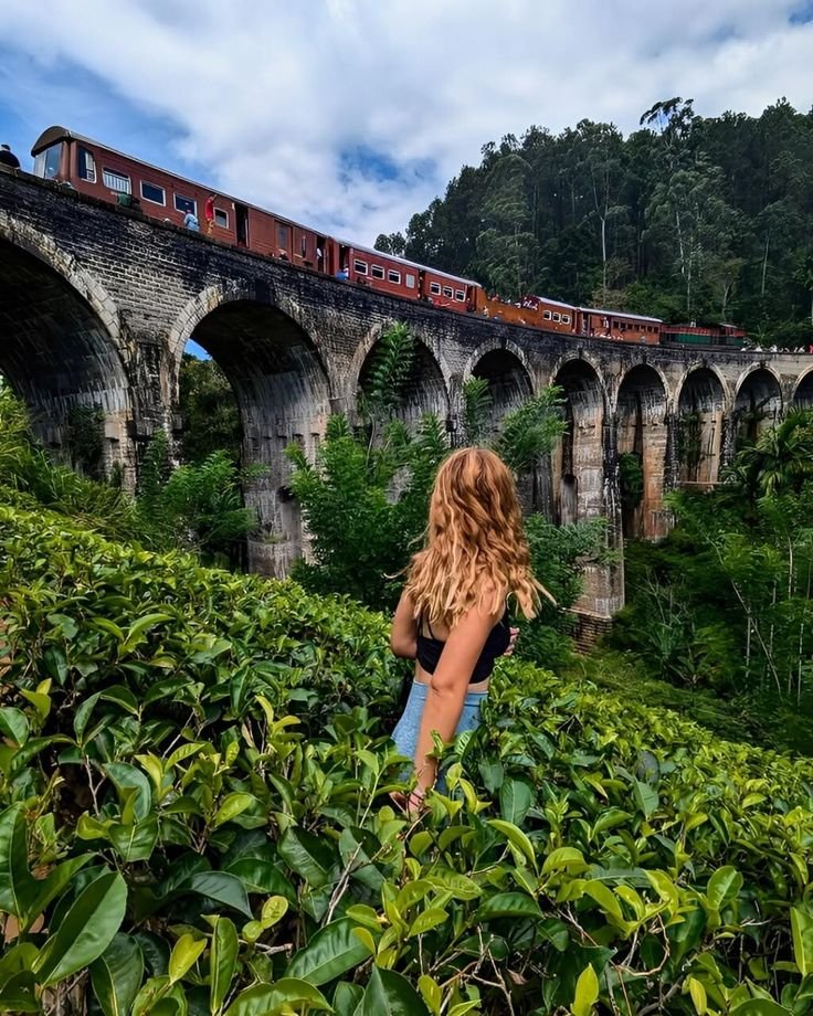 Ella Train Journey & Hike